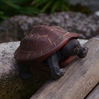 Lazy_turtle