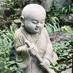 shiwu