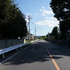 PAPETTO