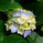 mkys_24