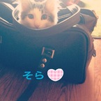 あこ0407