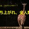 アトリエ__K