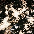 hioki