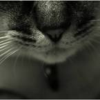 blue_blue