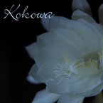 Kokowa