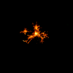 f_fireworks