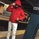 Jack_photo