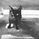 hachi_rou