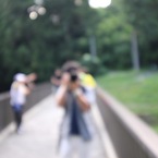 かめ系