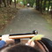 free-newTrip