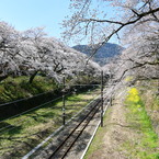 kimun