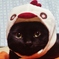 フェリス