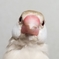 よしみK