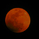 masa00550