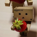 はちみつれもん