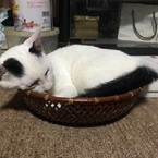 徳之