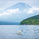 dayan_photo