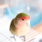 渓<けい>