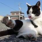 有希