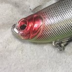 ビートたけし