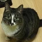 hiro1964