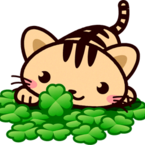 きりり
