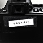 Masaki_focus