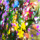 citron_01