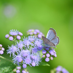 test31