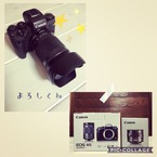 nori_camera
