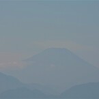 ILニコ