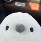 エナガ