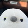 エナガ