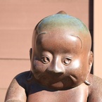 全脂肪