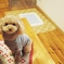 comet_ta