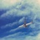 空0214