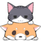 くろまめ太