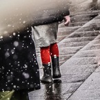 snow_311