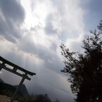 きんから