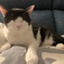 NIM_photo