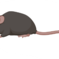 spinmouse