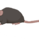 spinmouse