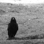 Masa｜ｽｸｴｱ写真家