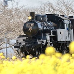 ウツルンデス