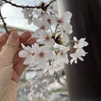 かたぴー