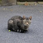 ほくろの陽子が好き