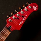 ｺﾝﾄﾞﾘｱ 水戸