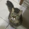 MiuMiu.L
