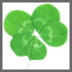 fiveleaf