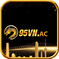 95vnac